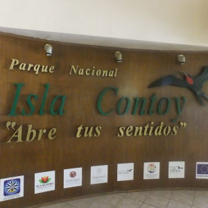 Ilha Contoy - o paraíso 4