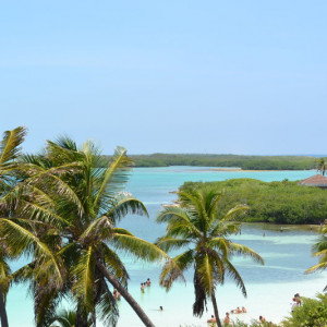 Ilha Contoy - o paraíso 5