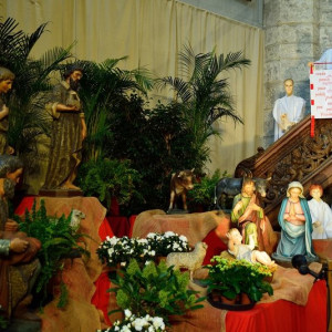 DSC_8082a (Copiar)