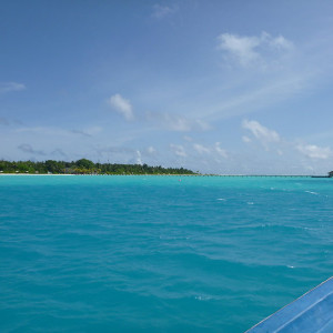 Viagem de Dhoni para o Holiday Island Resort