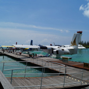 Terminal TMA