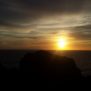 Image00010