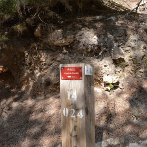 Image00006