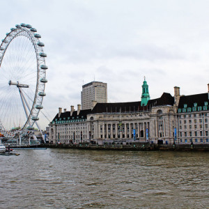 IMG_0442 (2)