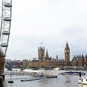 IMG_0538 (2)