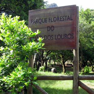 Chão De Louros 1