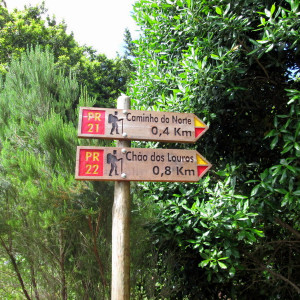 Chão De Louros 5