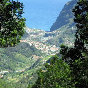 Chão De Louros 11