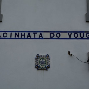 DSC_9001a (Cópia)