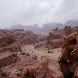 DSC00515