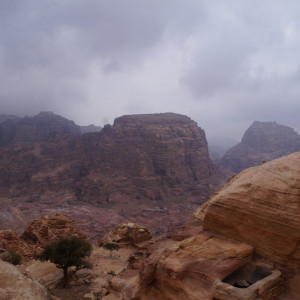 DSC00552