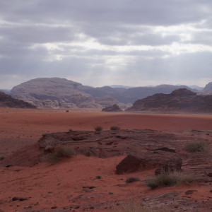 DSC00995
