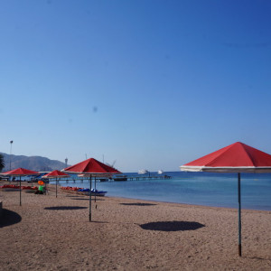DSC01091
