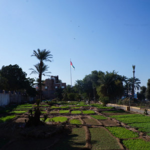 DSC01099