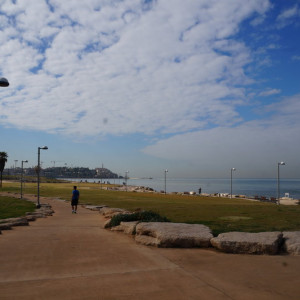 DSC01190