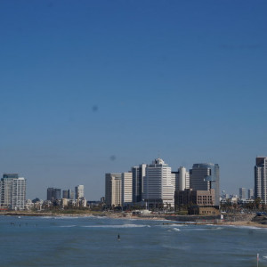 DSC01229
