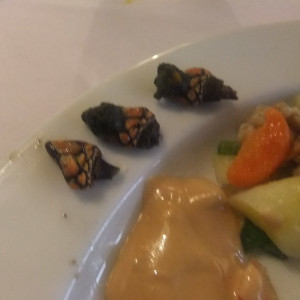 Hotel - restaurante tipico2