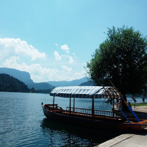 Bled