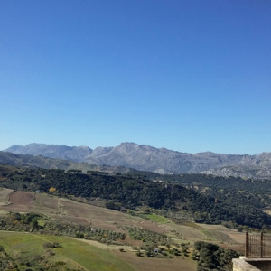 Ronda6