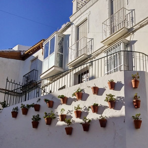 Olvera