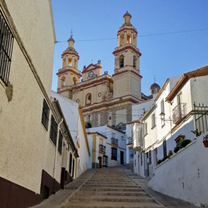 Olvera1