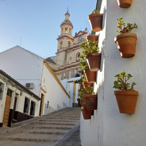 Olvera3