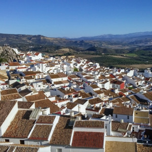 Olvera4