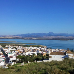 Bornos