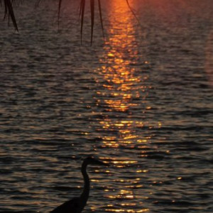 Pôr do Sol
