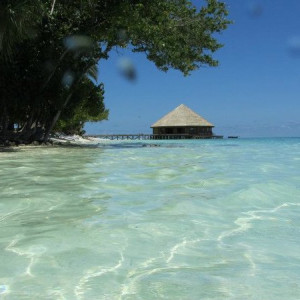 Restaurante Japonês