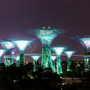 Gardens By The Bay