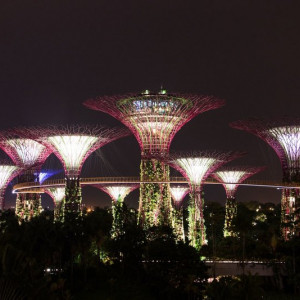 Gardens By The Bay