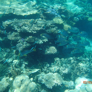 P3020077