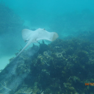 P3040133