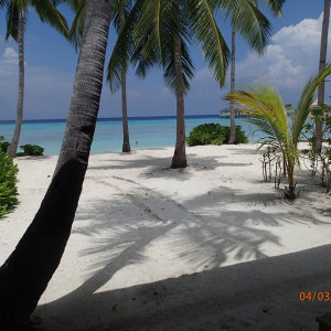 P3040138