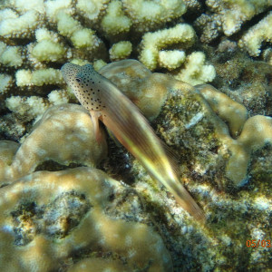 P3050157