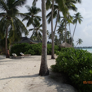 P3050174