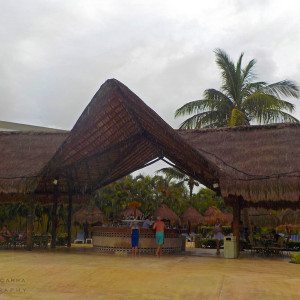 DSCN0401