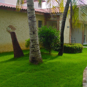 Punta Cana 065