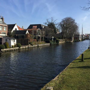 Edam_2