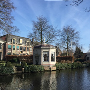Edam_3