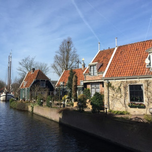 Edam_4