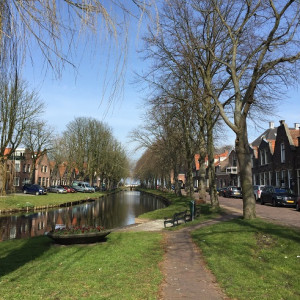 Edam_5