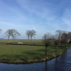 Edam_6