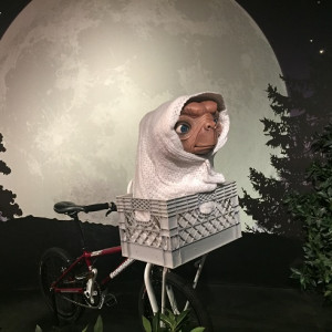 Mt_1