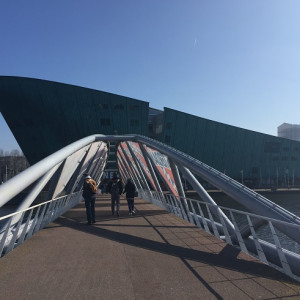 NEMO_2