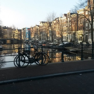 AMS_1