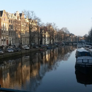 AMS_2
