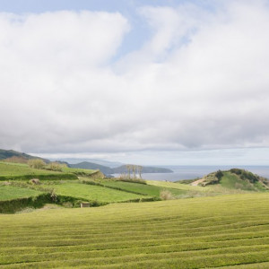 Açores-111