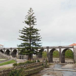 Açores-98